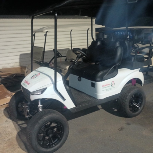 Flamingo Custom Carts golf cart with black wheels and custom graphics, Atlanta area golf cart options